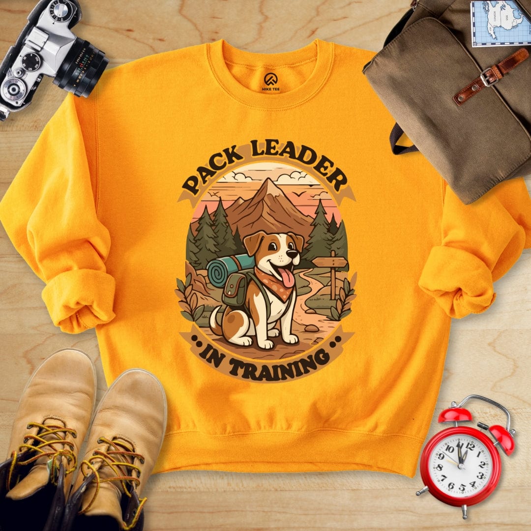 Hike Tee Sweatshirt Gold / S Packleader Sweatshirt