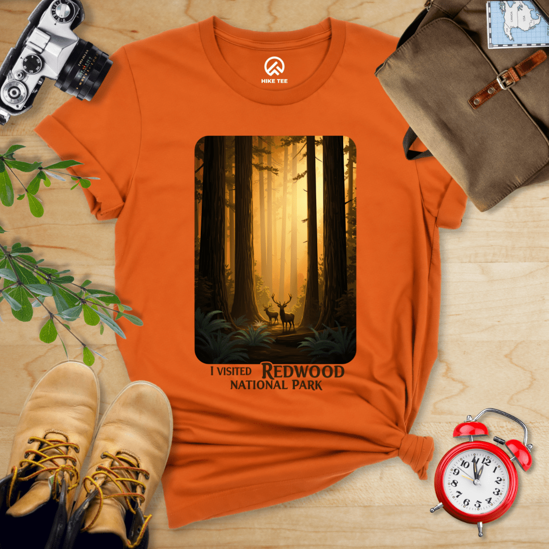 Hike Tee T-Shirt Autumn / S Redwood National Park Shirt