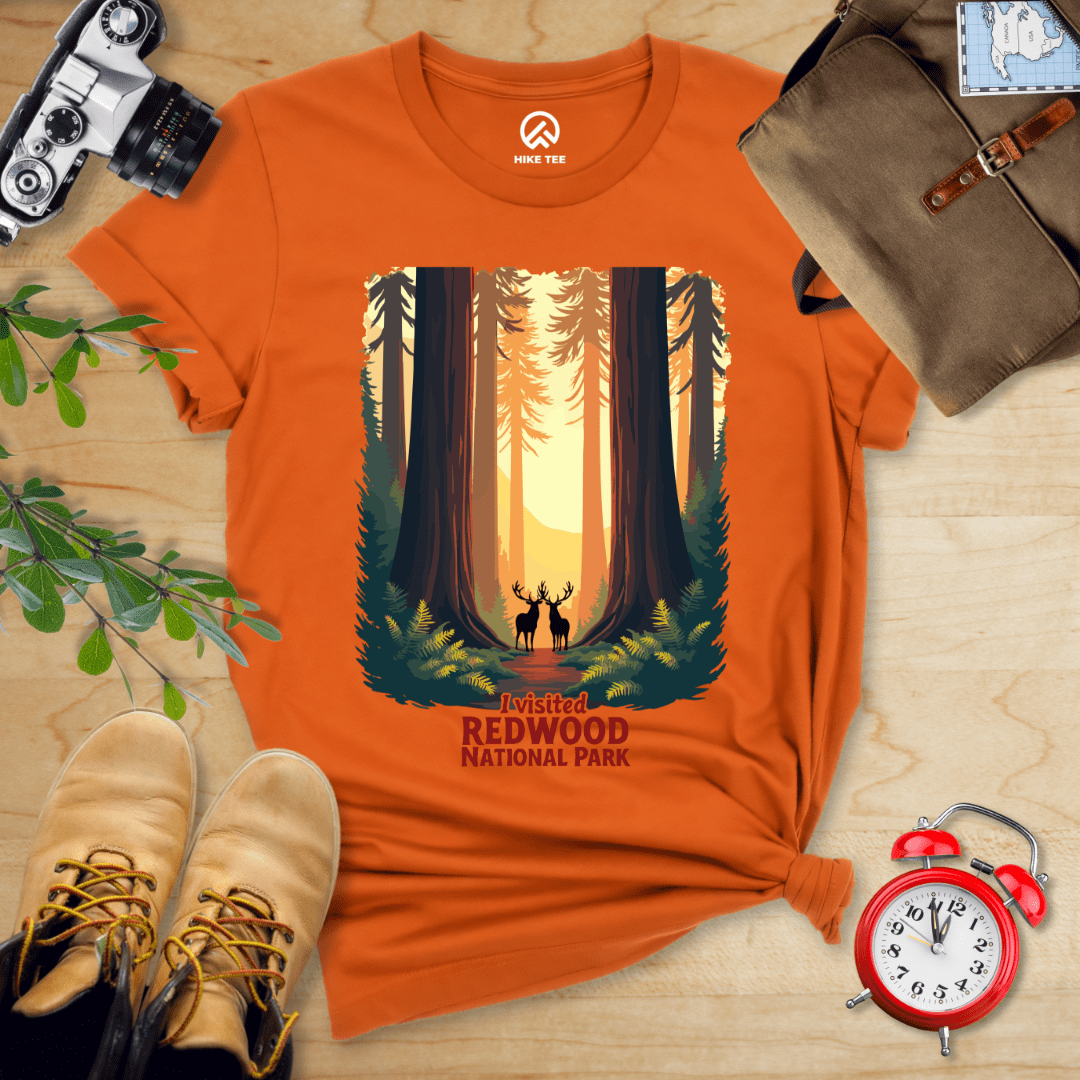 Hike Tee T-Shirt Autumn / S Redwood National Park Shirt