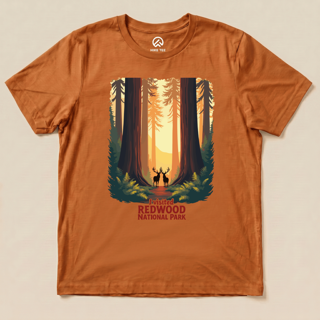 Hike Tee T-Shirt Autumn / S Redwood National Park Shirt