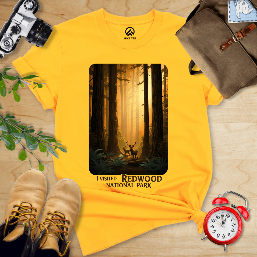 Hike Tee T-Shirt Gold / S Redwood National Park Shirt