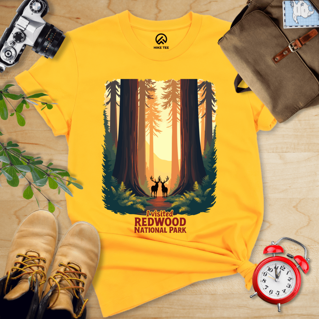 Hike Tee T-Shirt Gold / S Redwood National Park Shirt