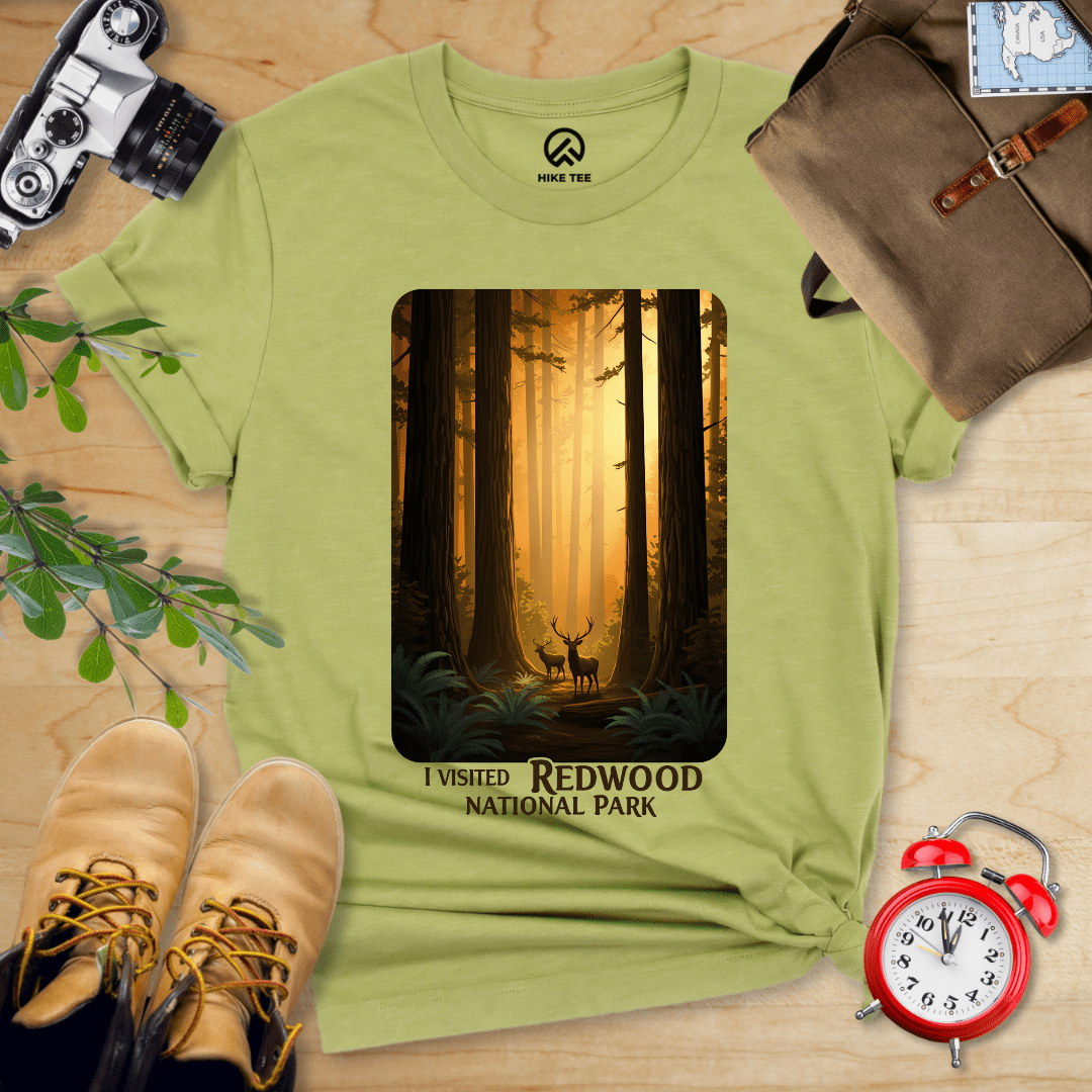 Hike Tee T-Shirt Heather Green / S Redwood National Park Shirt