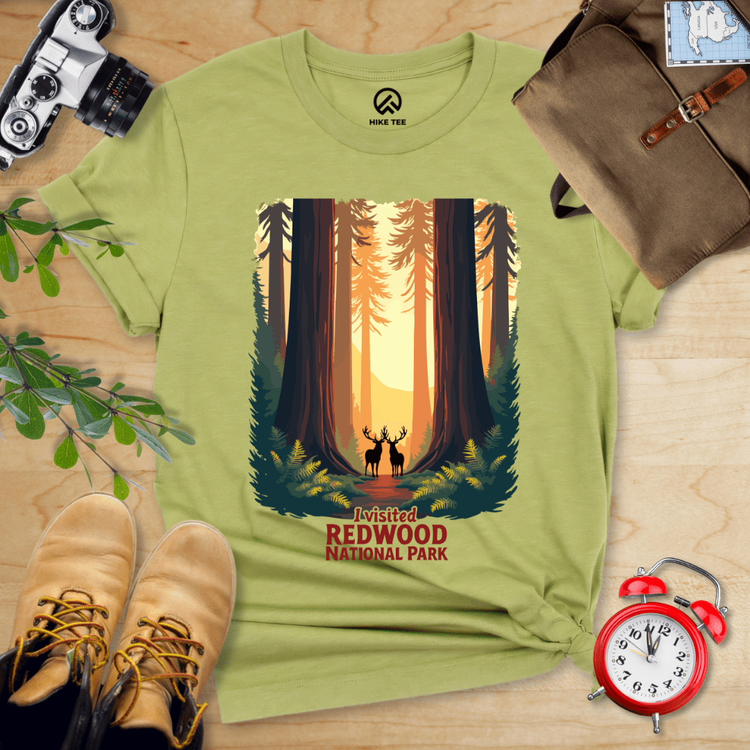 Hike Tee T-Shirt Heather Green / S Redwood National Park Shirt