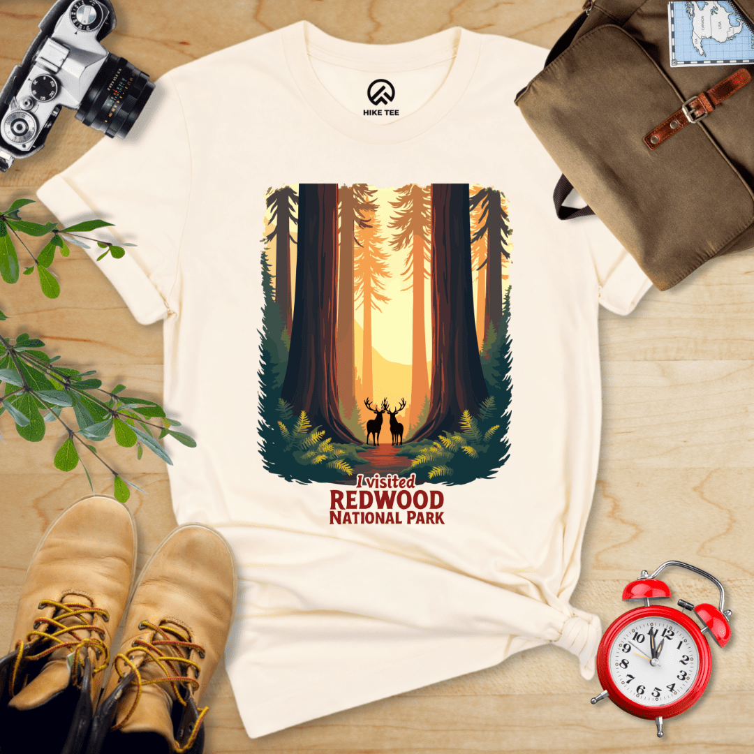 Hike Tee T-Shirt Natural / S Redwood National Park Shirt