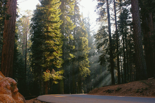 Top 10 Most Popular Camping Places in the USA