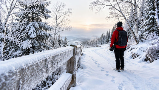 Nature in the Winter: A Hiker's Friendly Guide