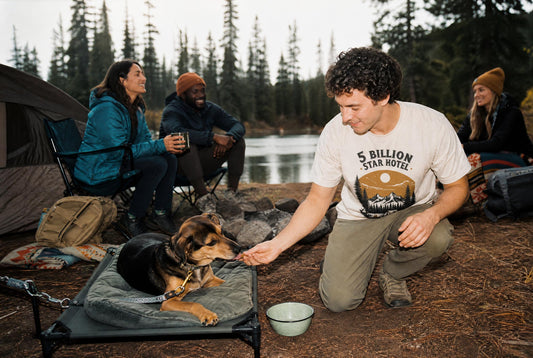 Dog Friendly Camping Guide | Hike Tee