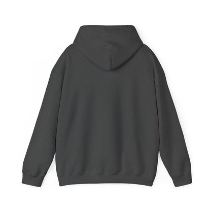 161_Snacks and Naps Bear - Hoodie