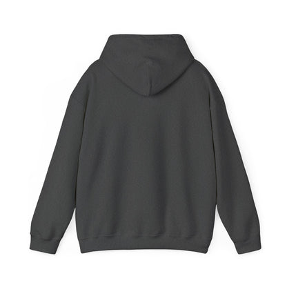 479_Yellowstone - Hoodie