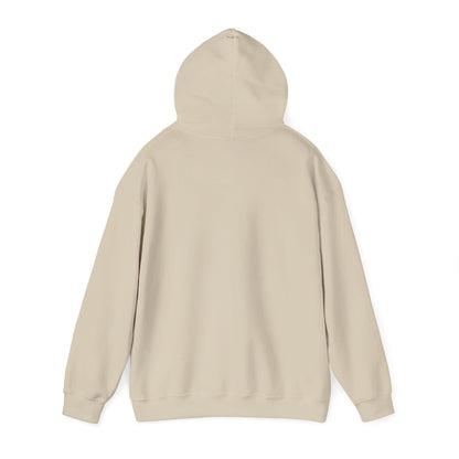 507_Fake Definition - Hoodie