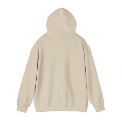 268_Denali National Park - Hoodie
