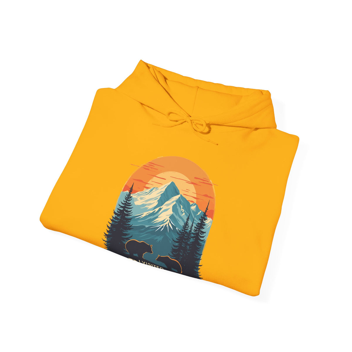268_Denali National Park - Hoodie