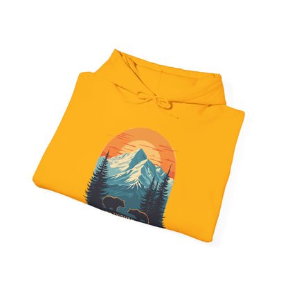 268_Denali National Park - Hoodie
