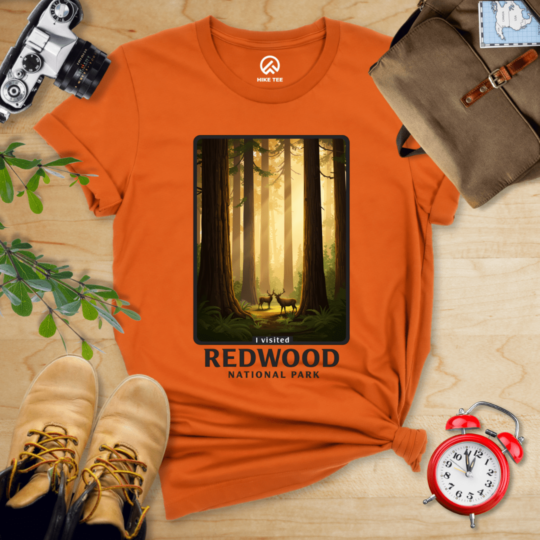 Hike Tee T-Shirt Autumn / S Redwood National Park Shirt