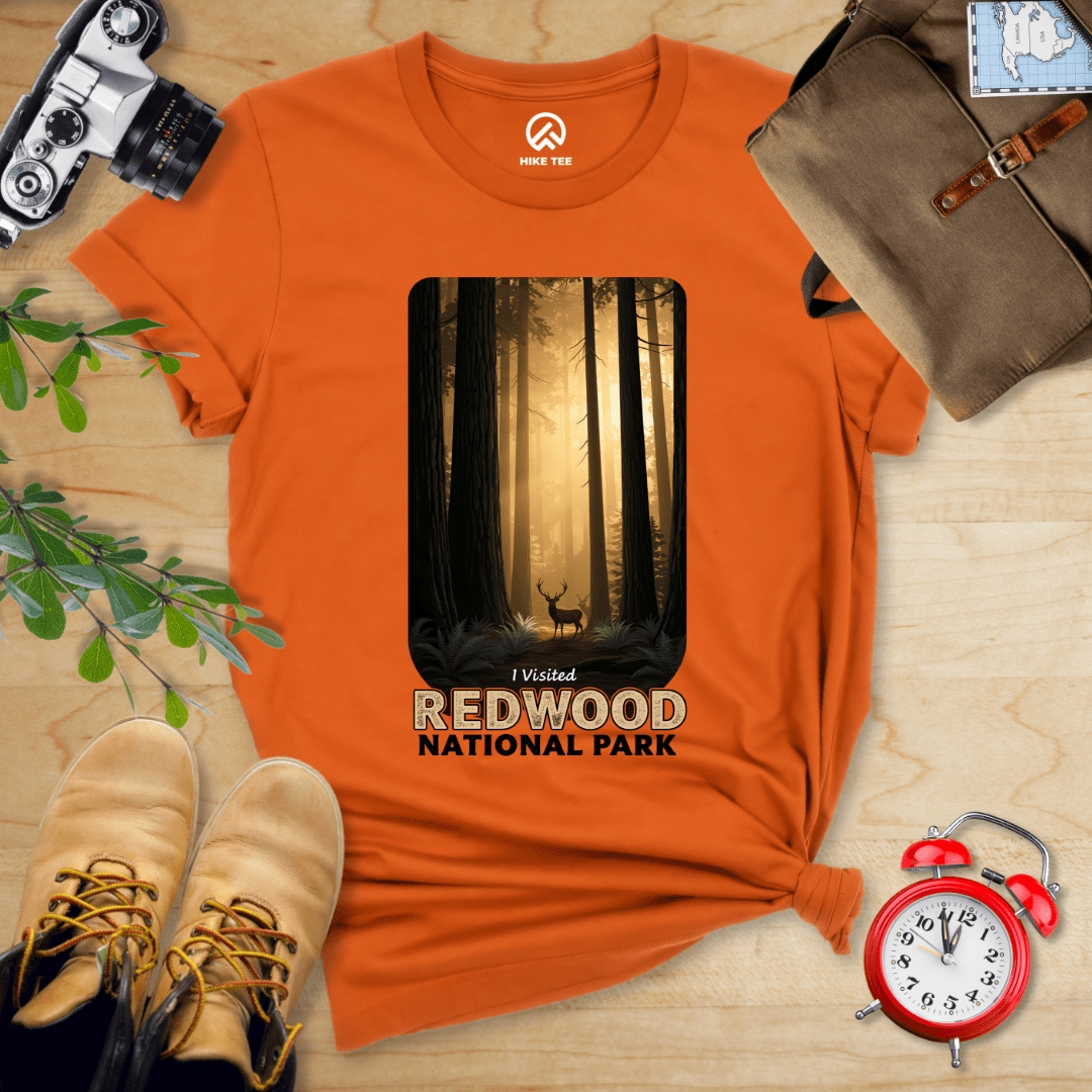 Hike Tee T-Shirt Autumn / S Redwood National Park Shirt