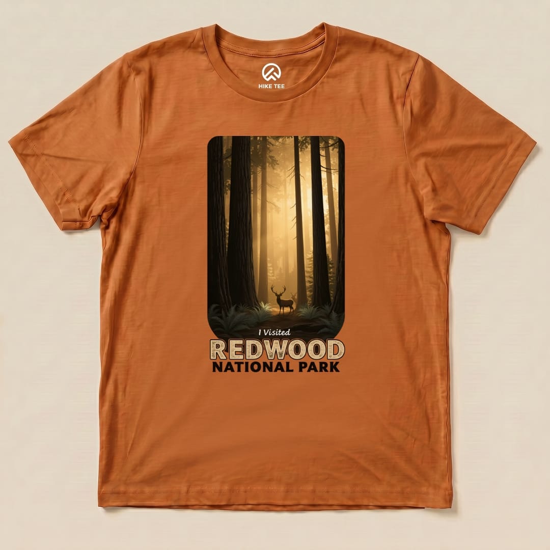 Hike Tee T-Shirt Autumn / S Redwood National Park Shirt