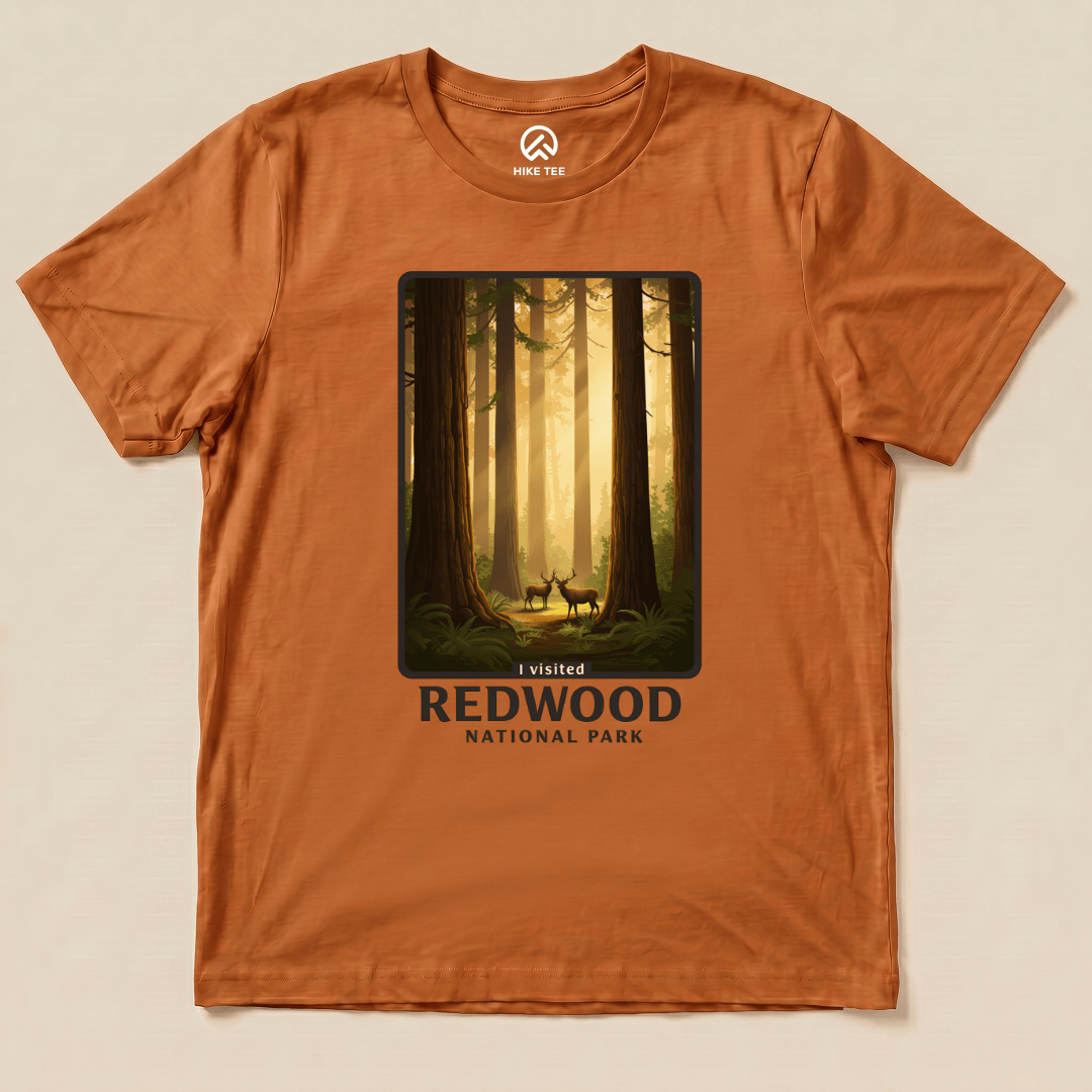 Hike Tee T-Shirt Autumn / S Redwood National Park Shirt