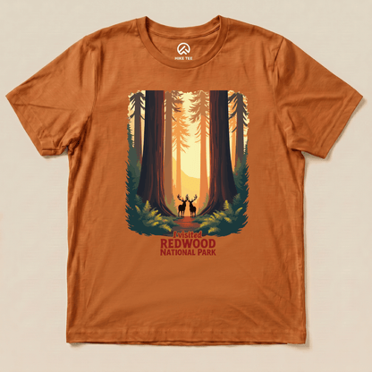 Hike Tee T-Shirt Autumn / S Redwood National Park Shirt