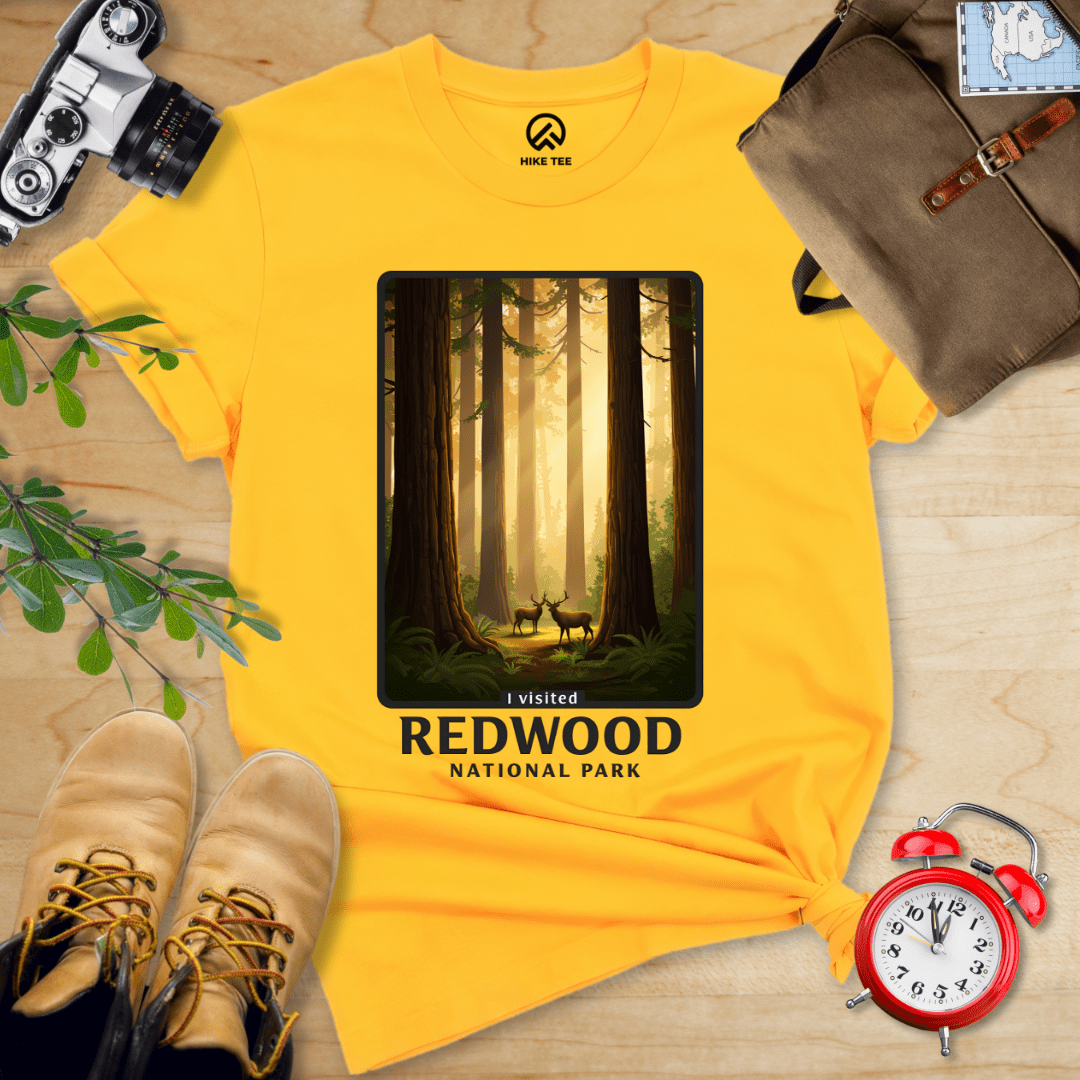 Hike Tee T-Shirt Gold / S Redwood National Park Shirt