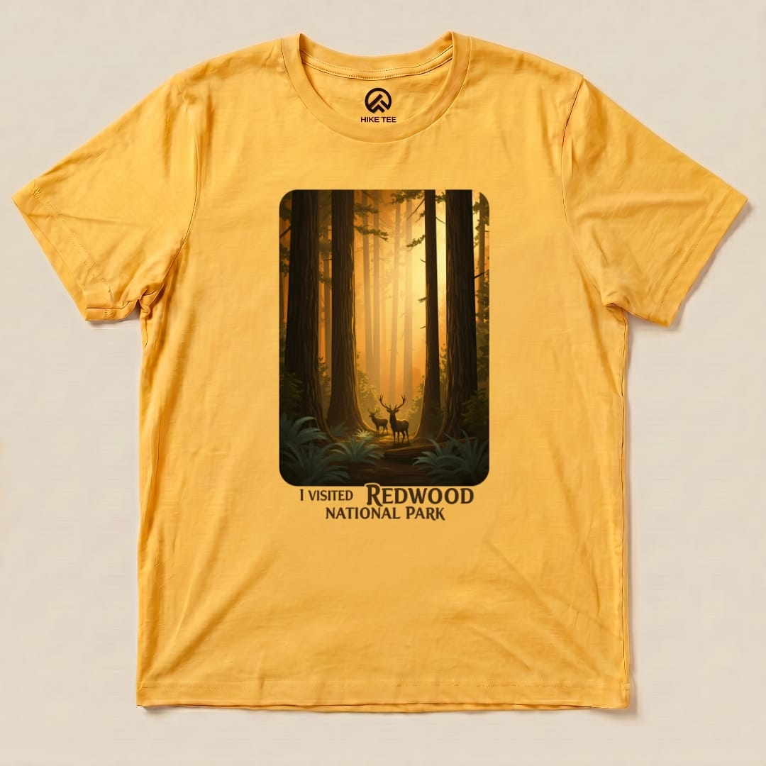 Hike Tee T-Shirt Gold / S Redwood National Park Shirt