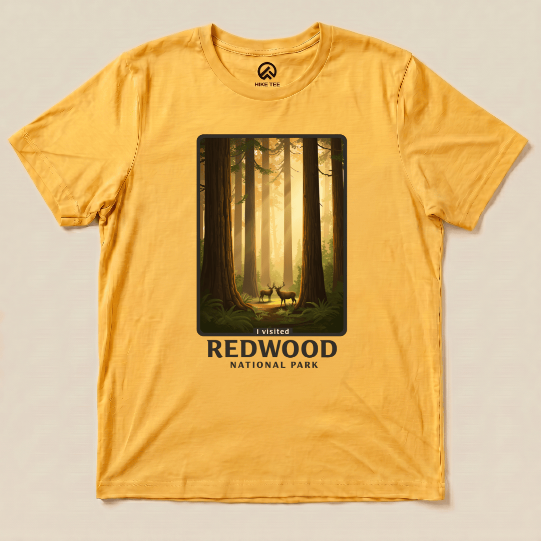 Hike Tee T-Shirt Gold / S Redwood National Park Shirt