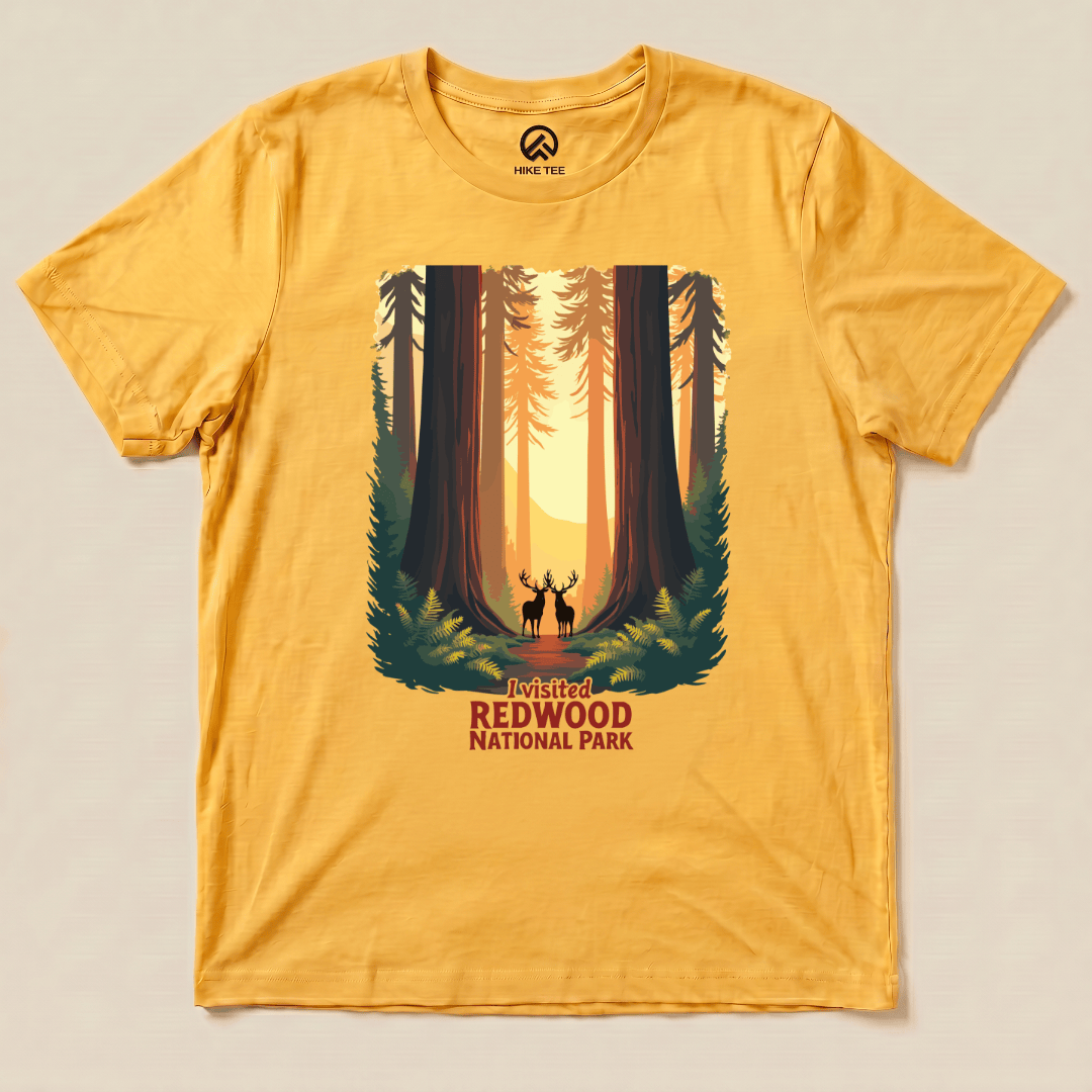 Hike Tee T-Shirt Gold / S Redwood National Park Shirt