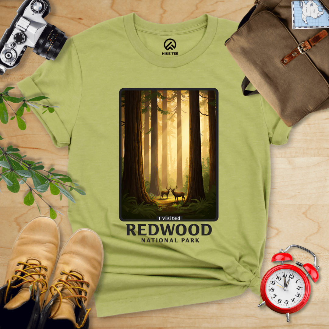 Hike Tee T-Shirt Heather Green / S Redwood National Park Shirt