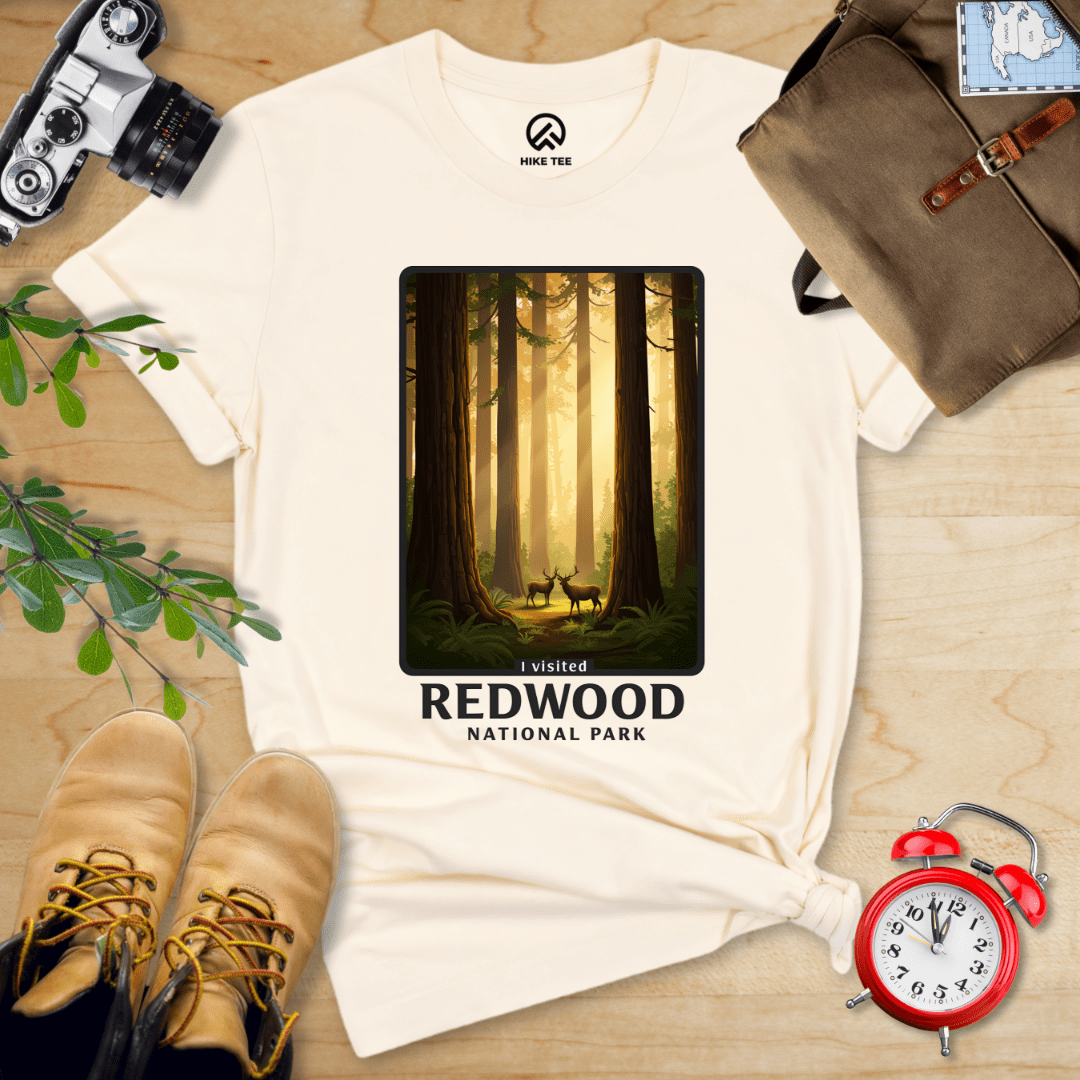 Hike Tee T-Shirt Natural / S Redwood National Park Shirt