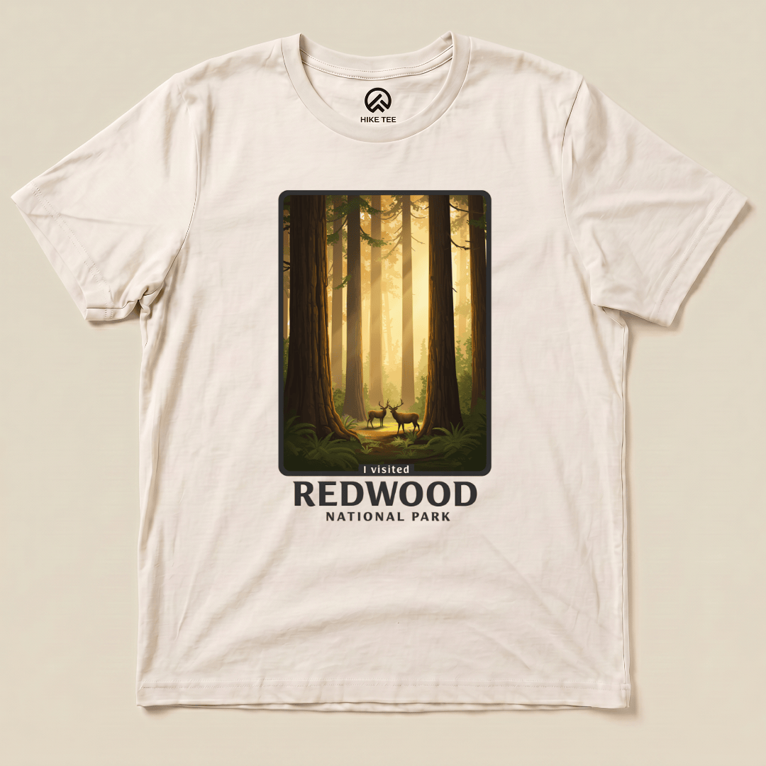 Hike Tee T-Shirt Natural / S Redwood National Park Shirt