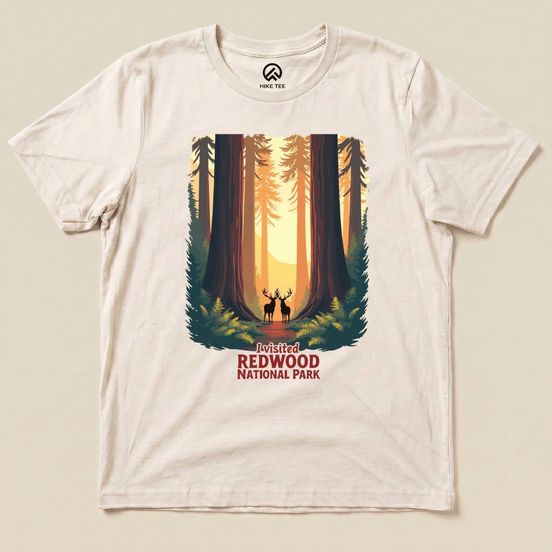 Hike Tee T-Shirt Natural / S Redwood National Park Shirt