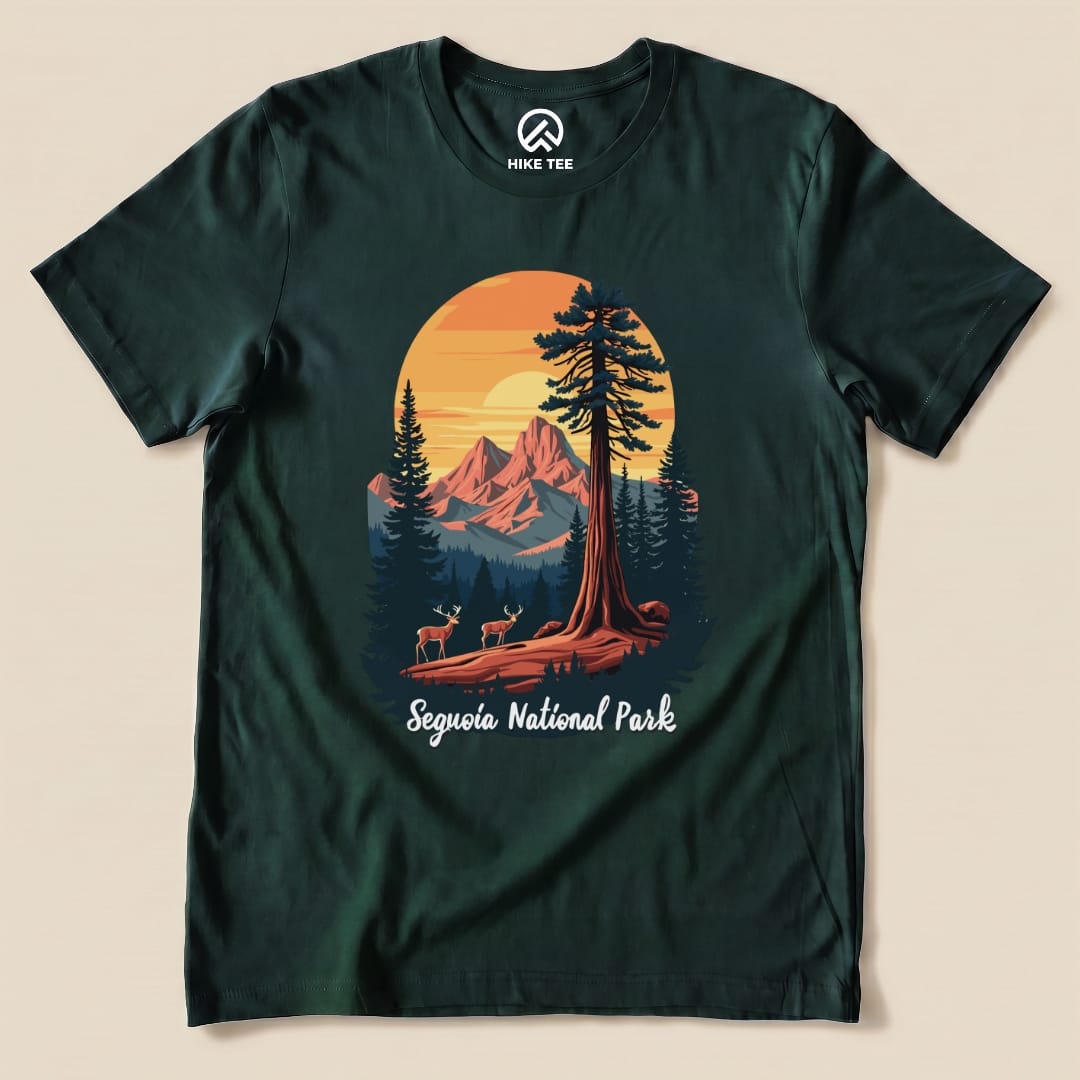 Hike Tee T-Shirt Forest / S Sequoia National Park Shirt